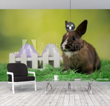Picture of Bunny with Easter eggs on green background